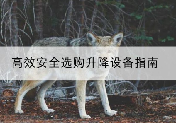 会泽升降货梯厂家推荐-*安全选购升降设备指南