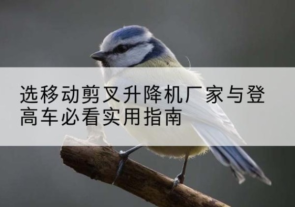 会泽电动升降机厂家-选移动剪叉升降机厂家与登高车必看实用指南