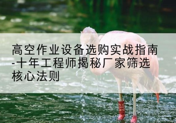 会泽剪叉式升降机厂家-高空作业设备选购实战指南-十年工程师揭秘厂家筛选核心法则